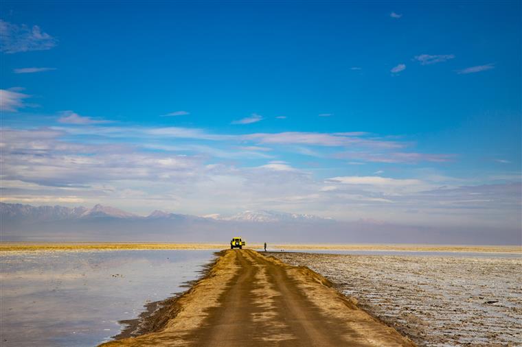 Lake Desert; Friendship with nature